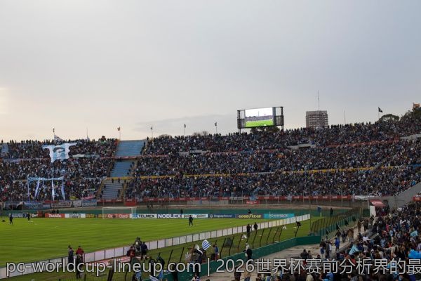 2026世界杯赛前分析界的最新政策动态，你不容错过
