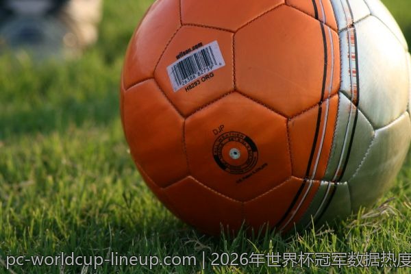 2026年世界杯冠军数据热度榜单与分析