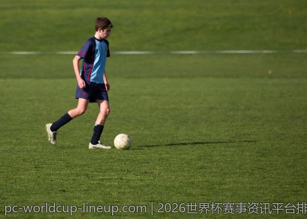2026世界杯赛事资讯平台排行榜，哪个更值得选择？